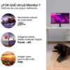 Monitor LG 25MS550 FHD 25" 100Hz altavoces altura ajustable