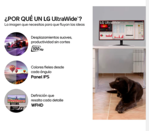 Monitor LG 29U511A UltraWide 29 WFHD IPS 100HZ